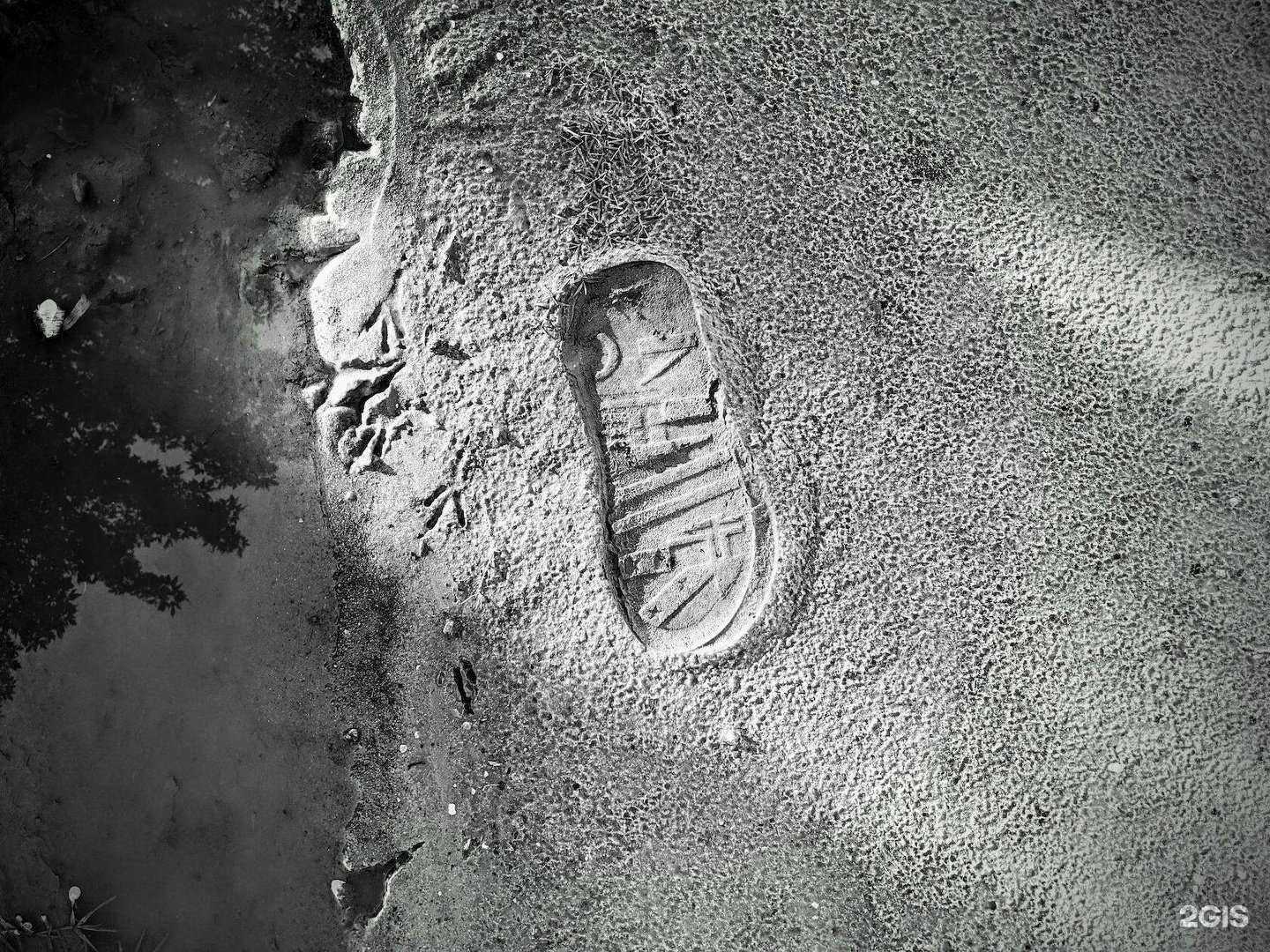 Отзывы на компанию Walrus в Ейске c фото