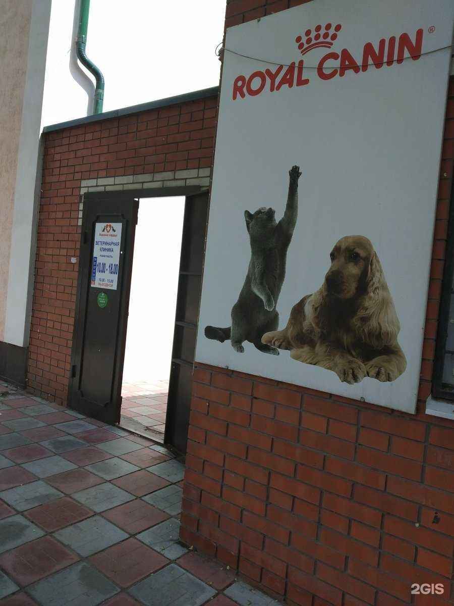 Отзывы на компанию Львиное сердце в г. Энгельс c фото