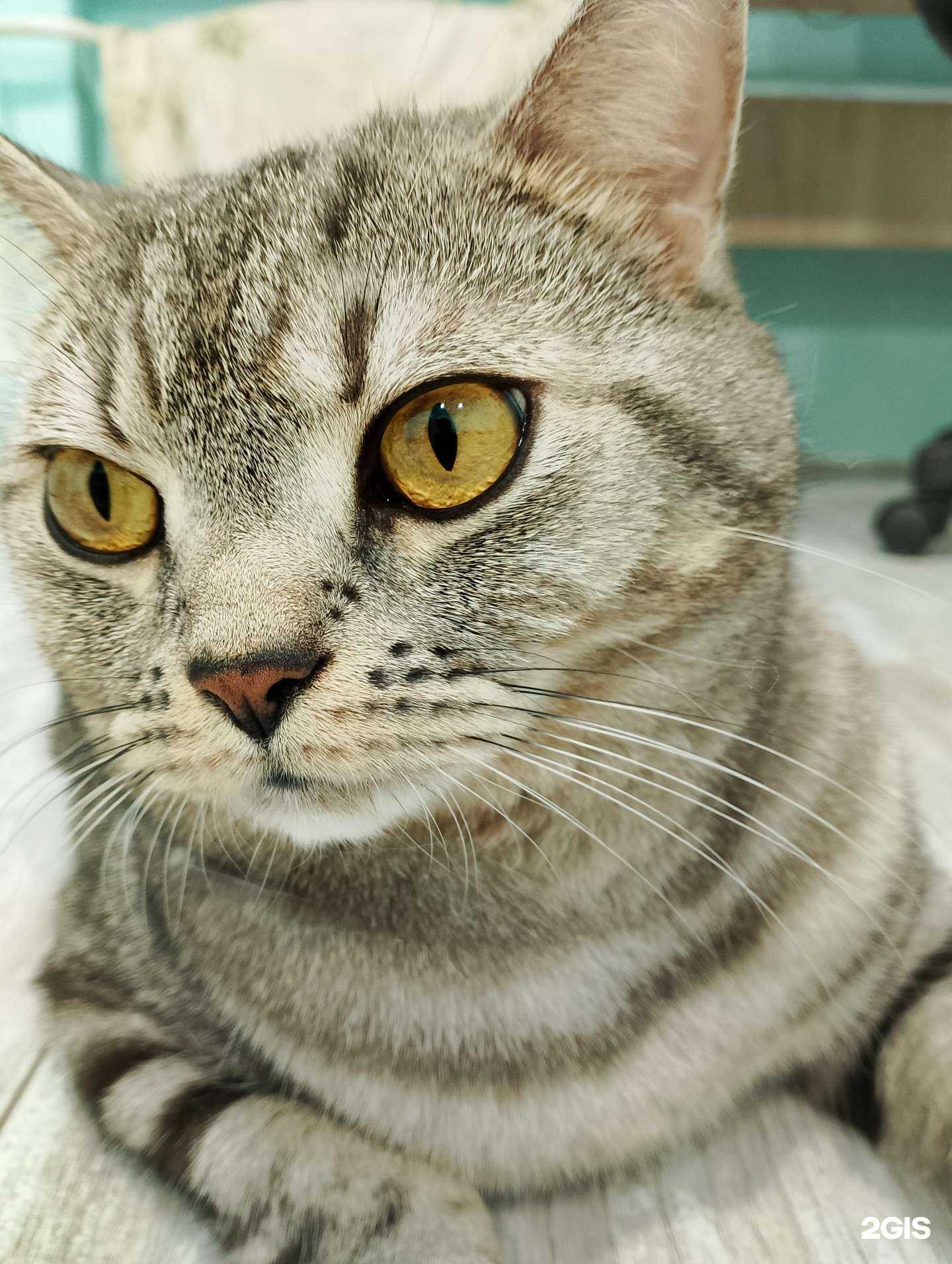 Отзывы на компанию Спортивная школа №10 в г. Орёл c фото