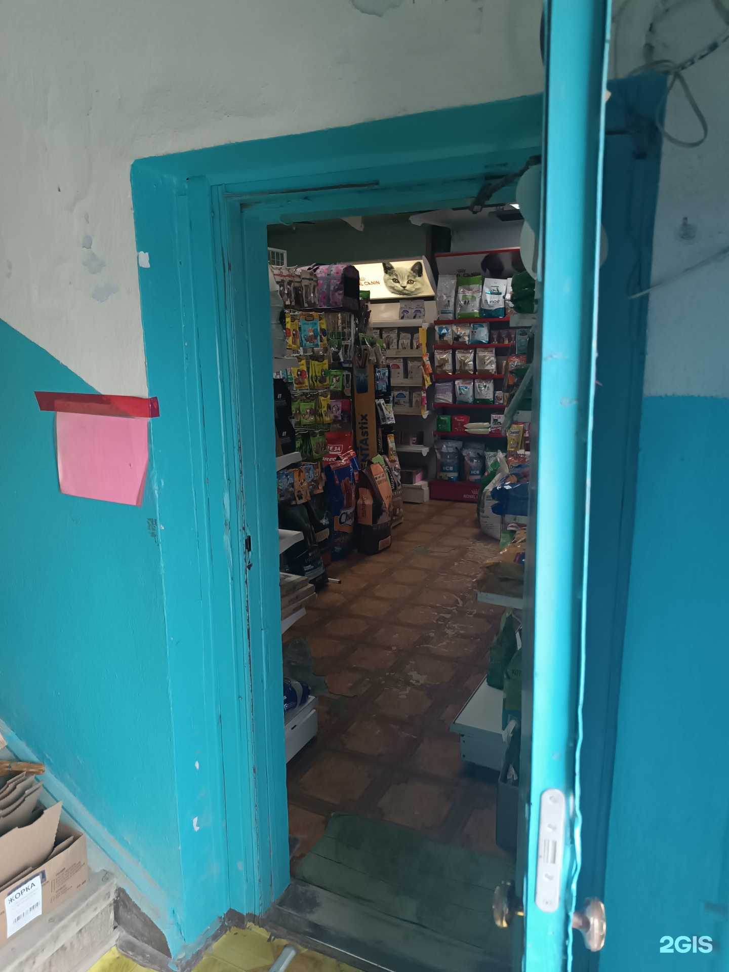 Отзывы на компанию Белый клык в Южно-Сахалинске c фото