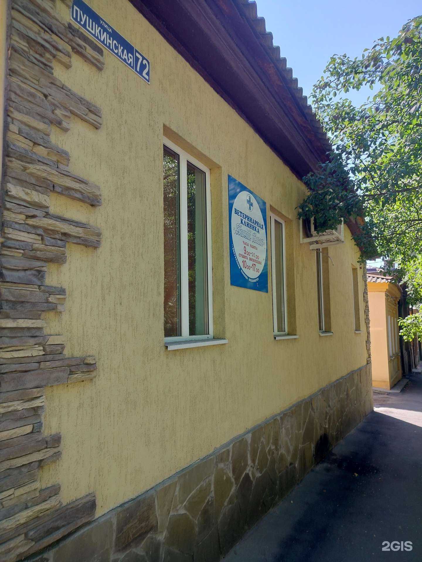 Отзывы на компанию Белый клык в г. Новочеркасск c фото