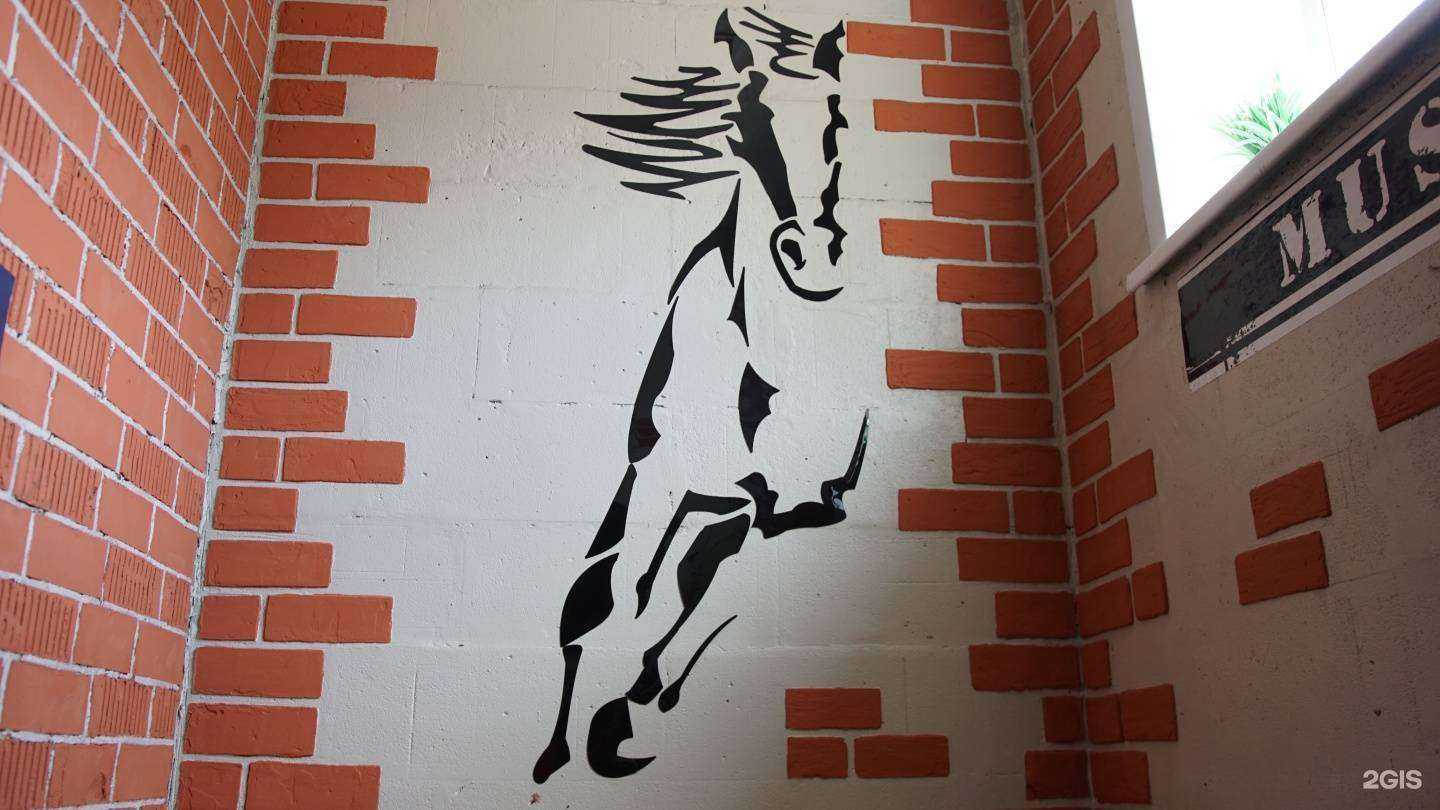 Отзывы на компанию Мустанг в Чите c фото