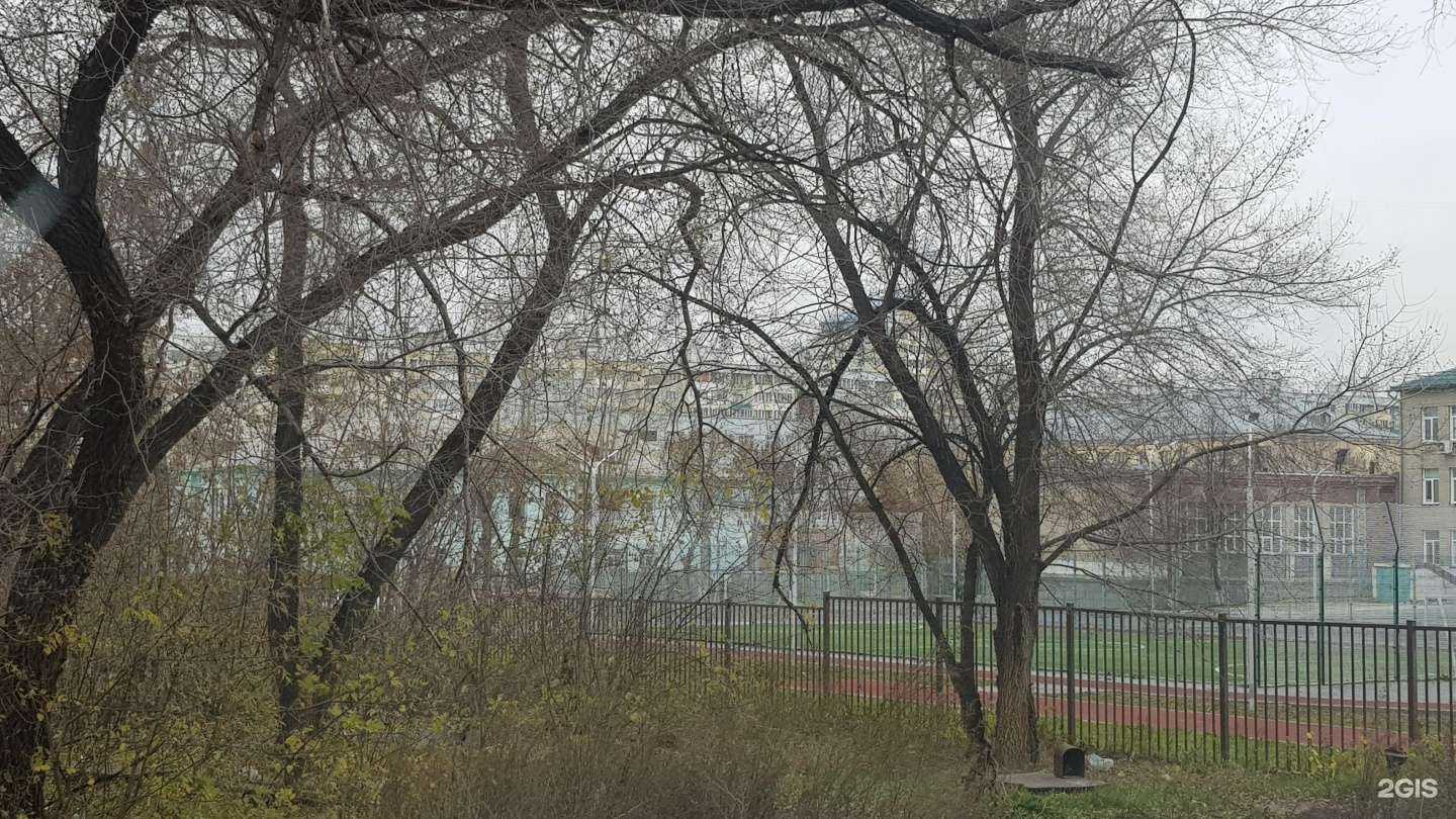 Отзывы на компанию Коррекционная школа №14 в г. Новосибирск c фото