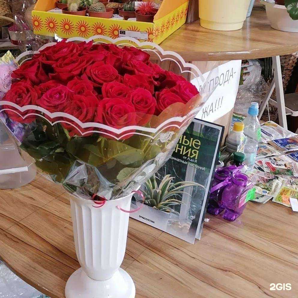 Отзывы на компанию Камелия в г. Ульяновск c фото