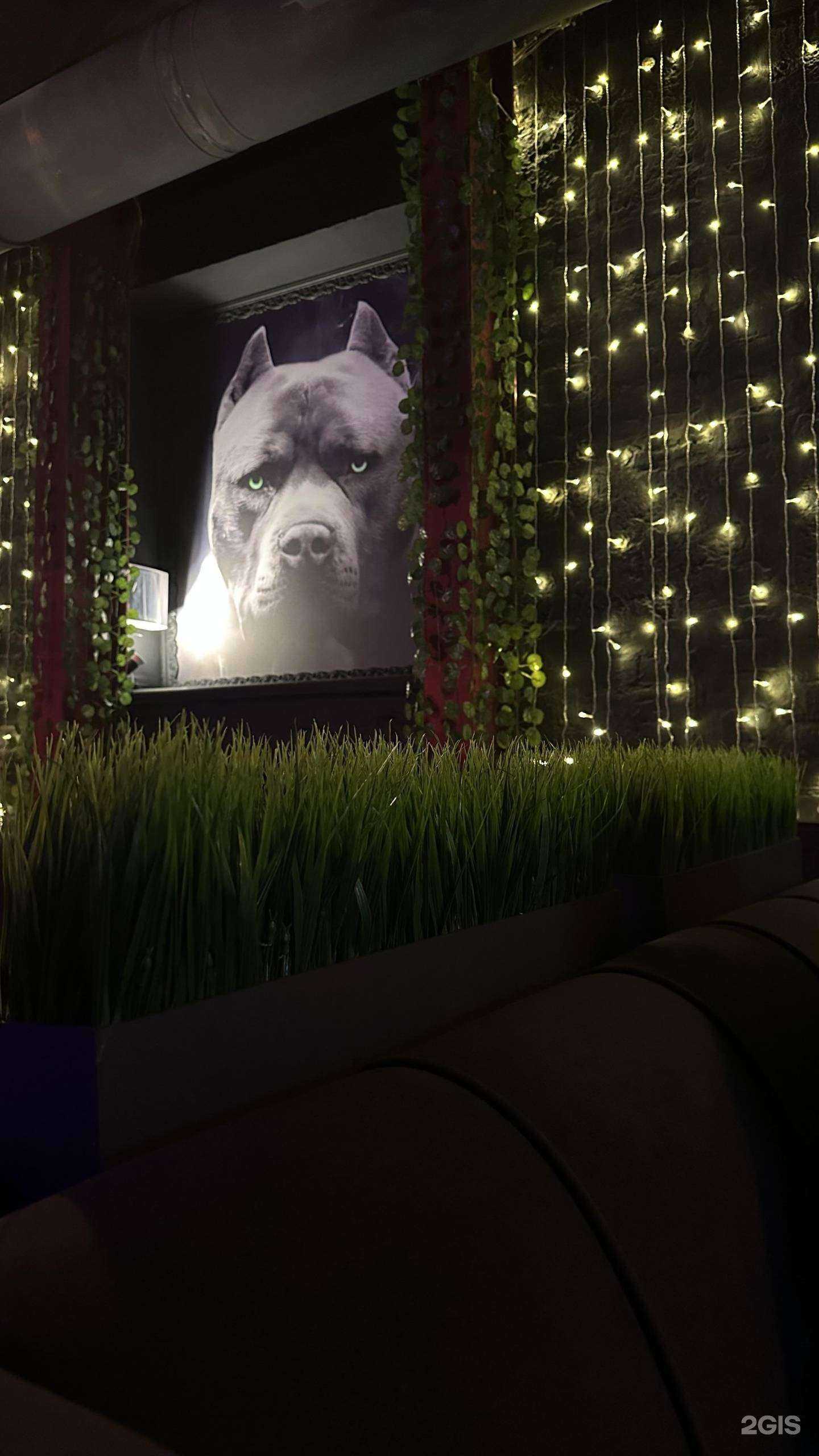 Отзывы на компанию Дымократ в Ростове-на-Дону c фото