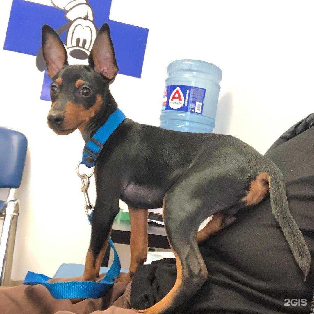 Отзывы на компанию Автокомфорт в Ижевске c фото