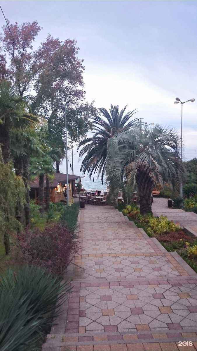 Отзывы на компанию Кафе в Сочи c фото - фотография 2 из 2