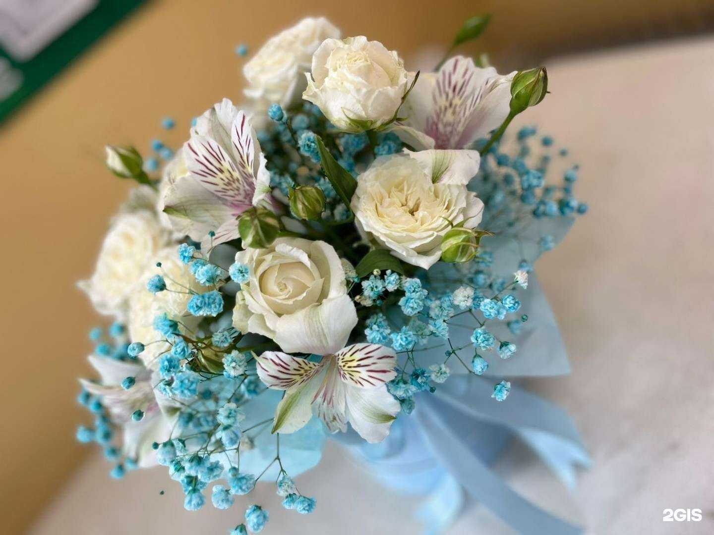 Отзывы на компанию Фиалковый рай в Пензе c фото