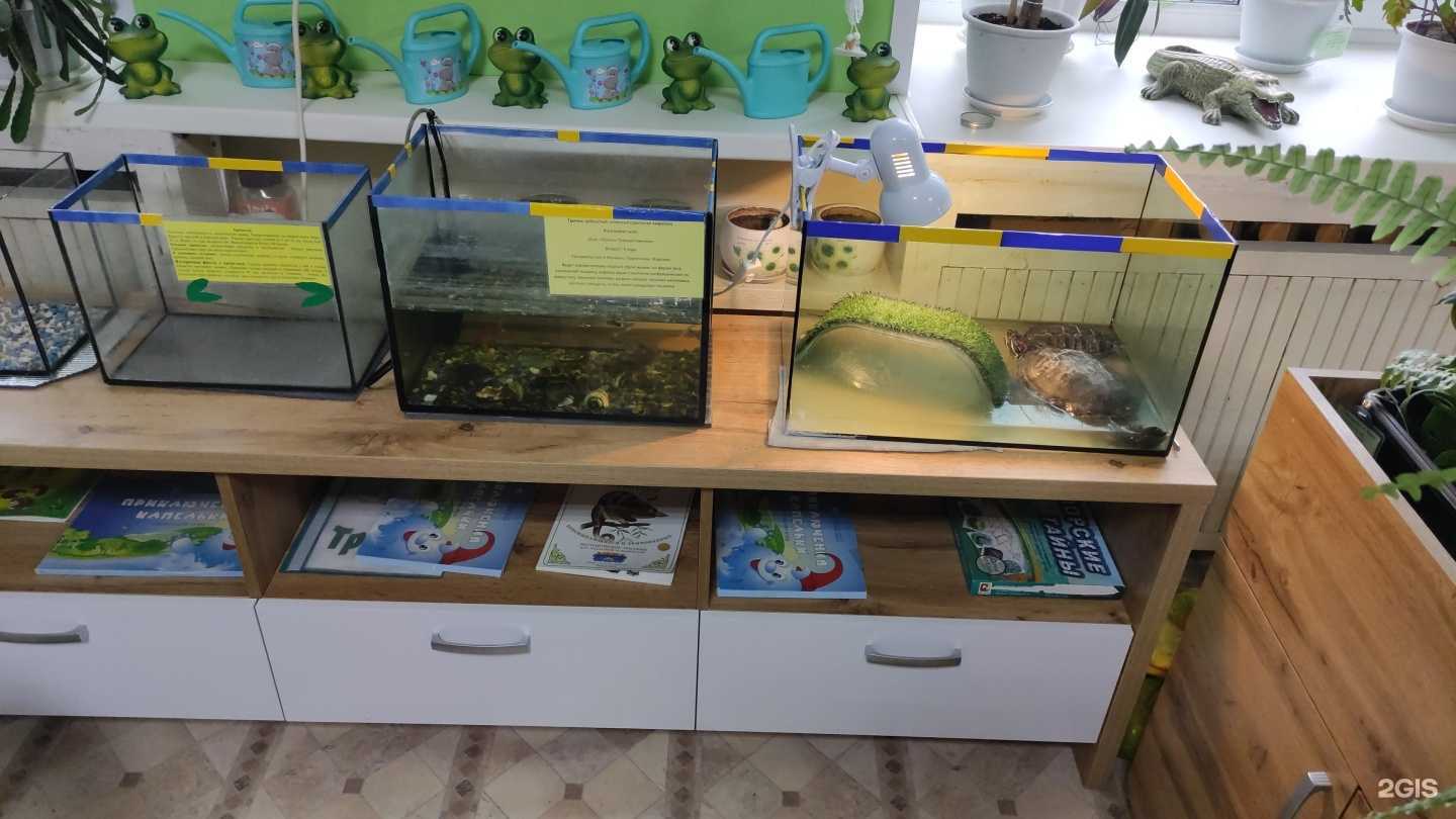 Отзывы на компанию Детский сад №144 в г. Ижевск c фото