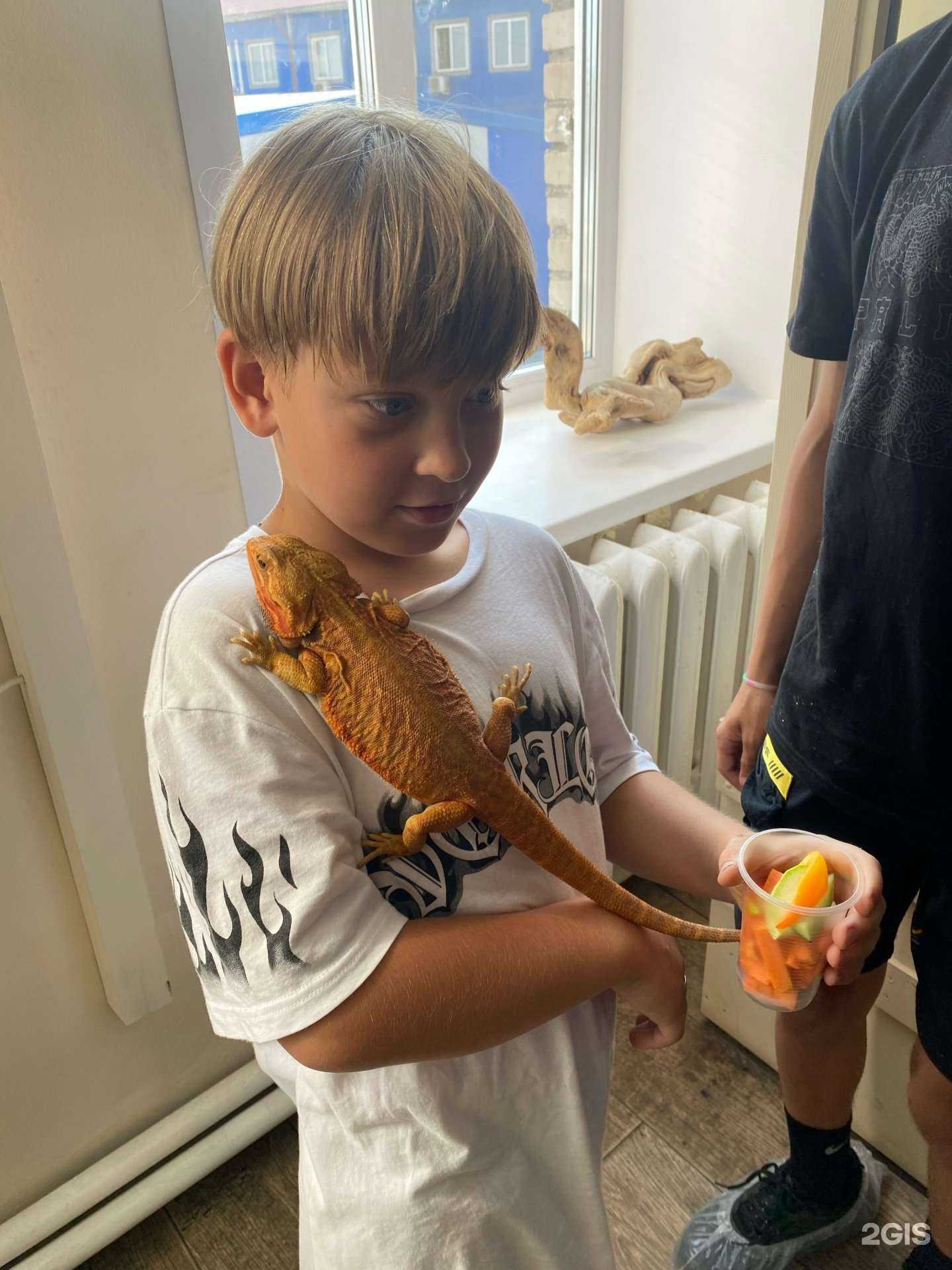 Отзывы на компанию Енотия в г. Красноярск c фото