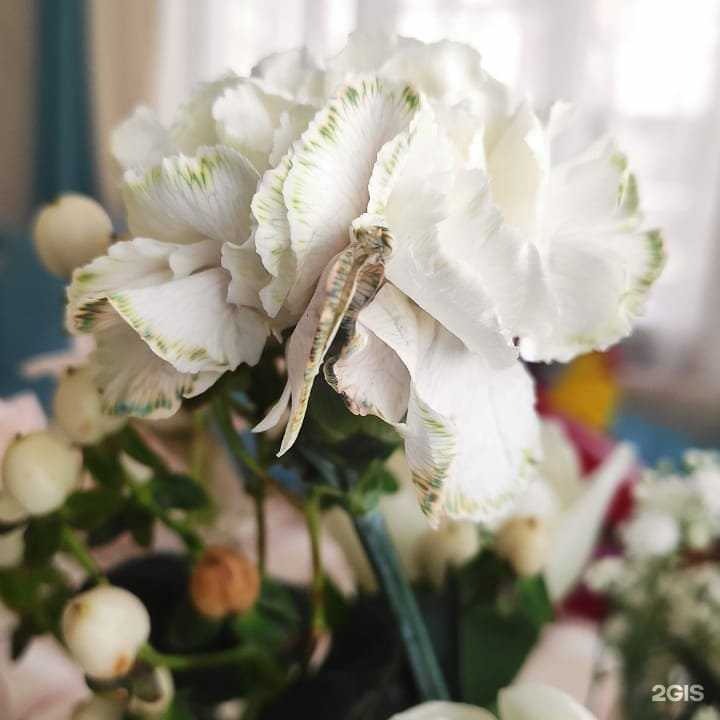 Отзывы на компанию Волшебный сундучок в г. Муром c фото