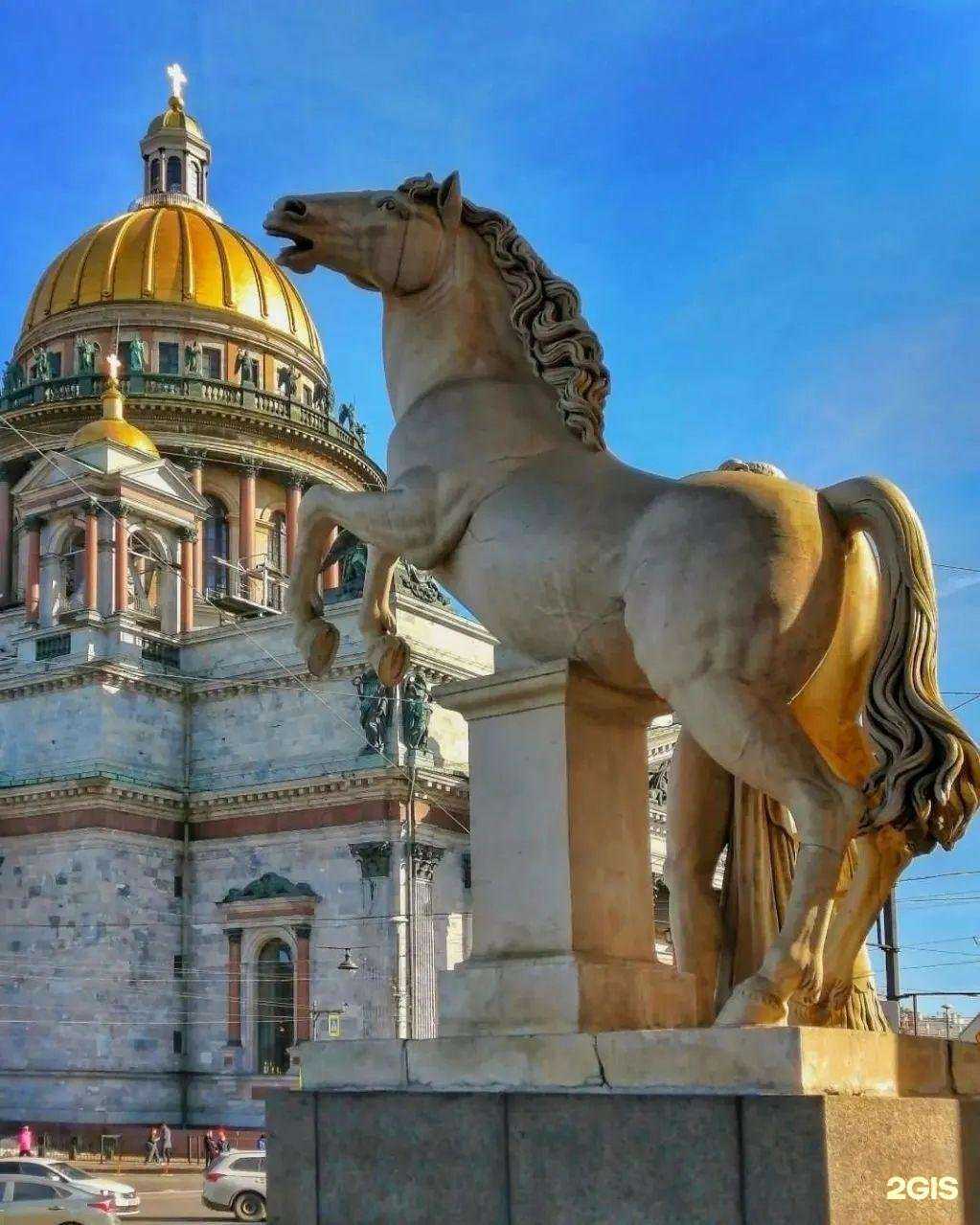 Отзывы на компанию Стрекоза в г. Нижнекамск c фото