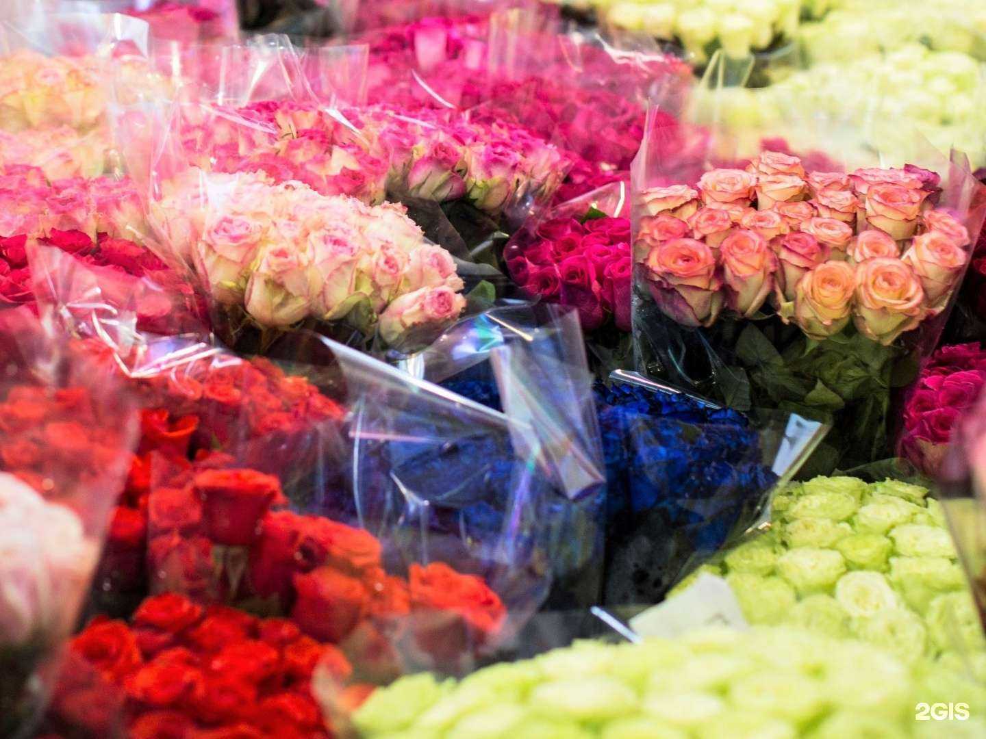 Отзывы на компанию Миллион Роз в Ярославле c фото