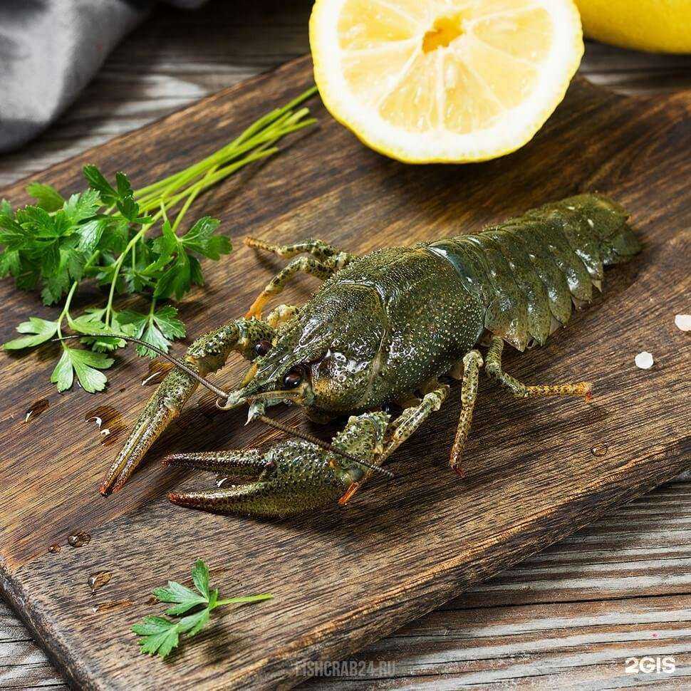 Отзывы на компанию Твой краб в Сургуте c фото