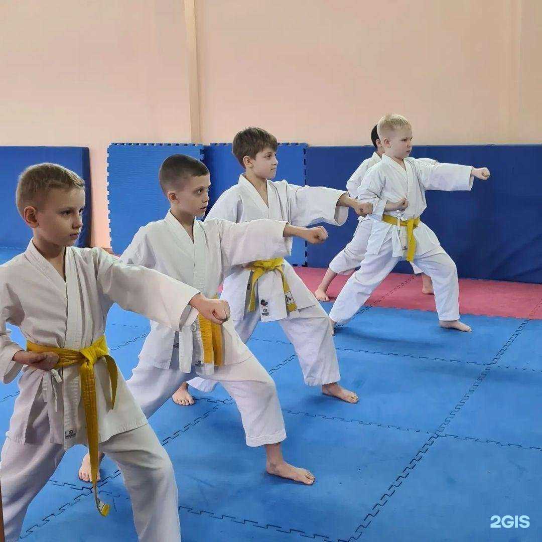 Отзывы на компанию СШОР Витязь в Пензе c фото