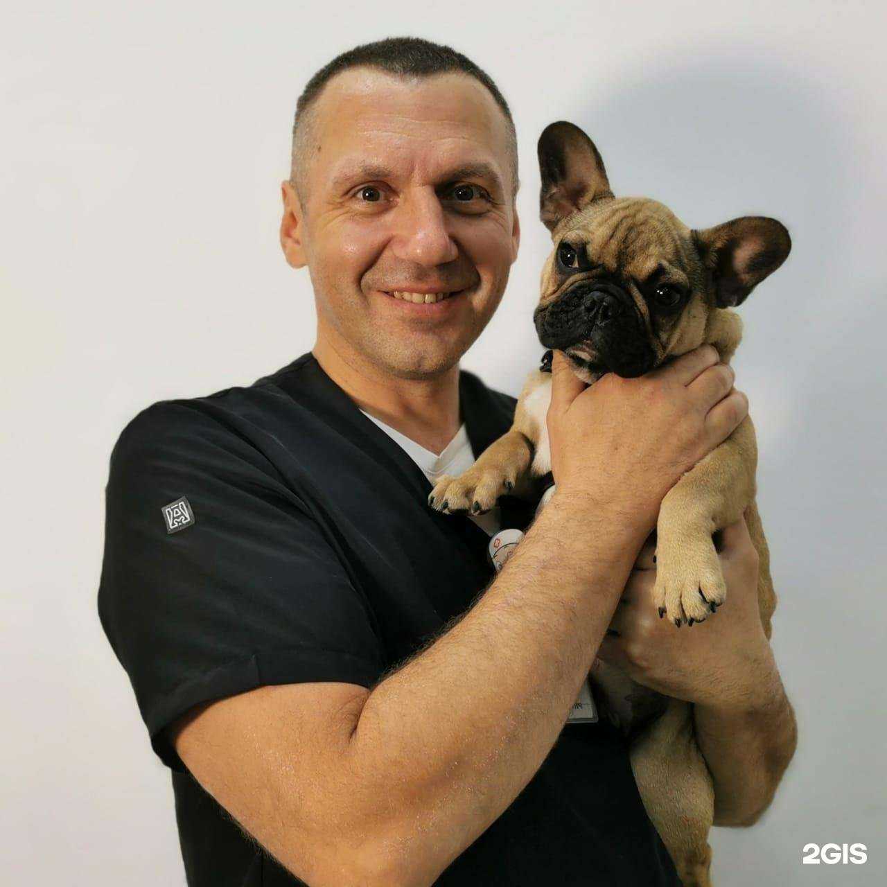 Отзывы на компанию ПетСити в Ессентуках c фото