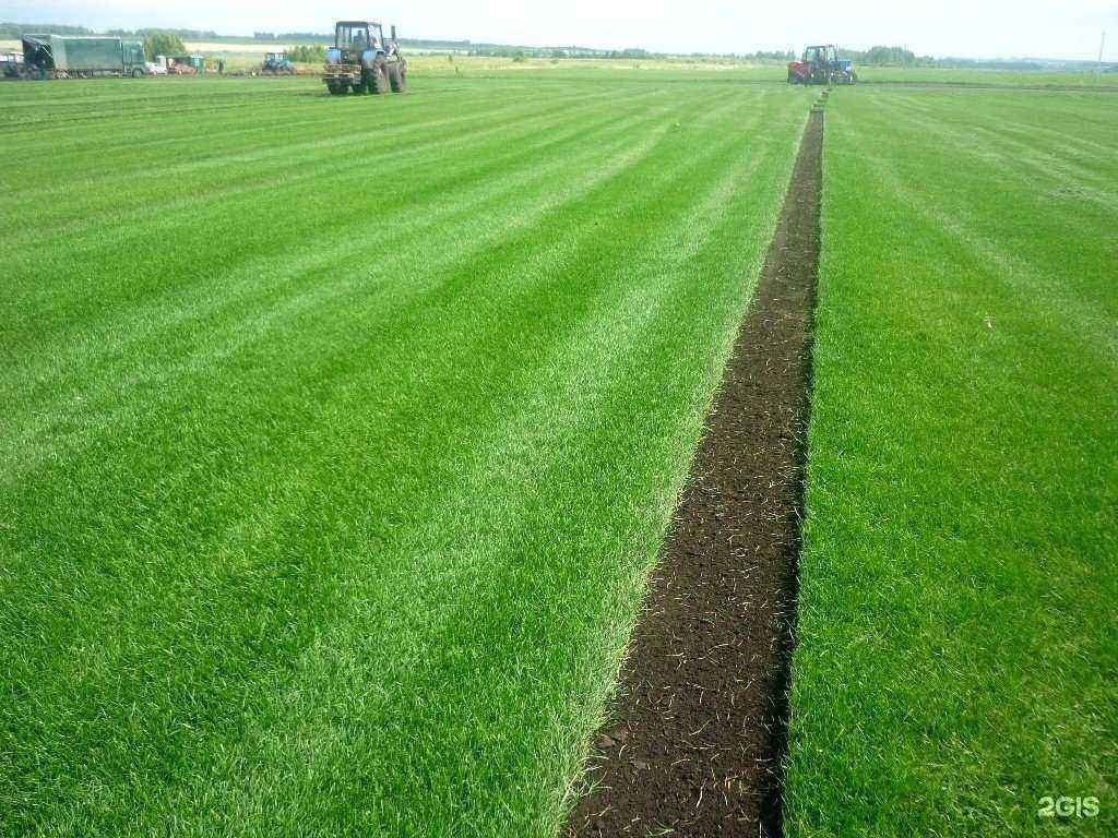 Отзывы на компанию Газоны Челябинска в г. Челябинск c фото