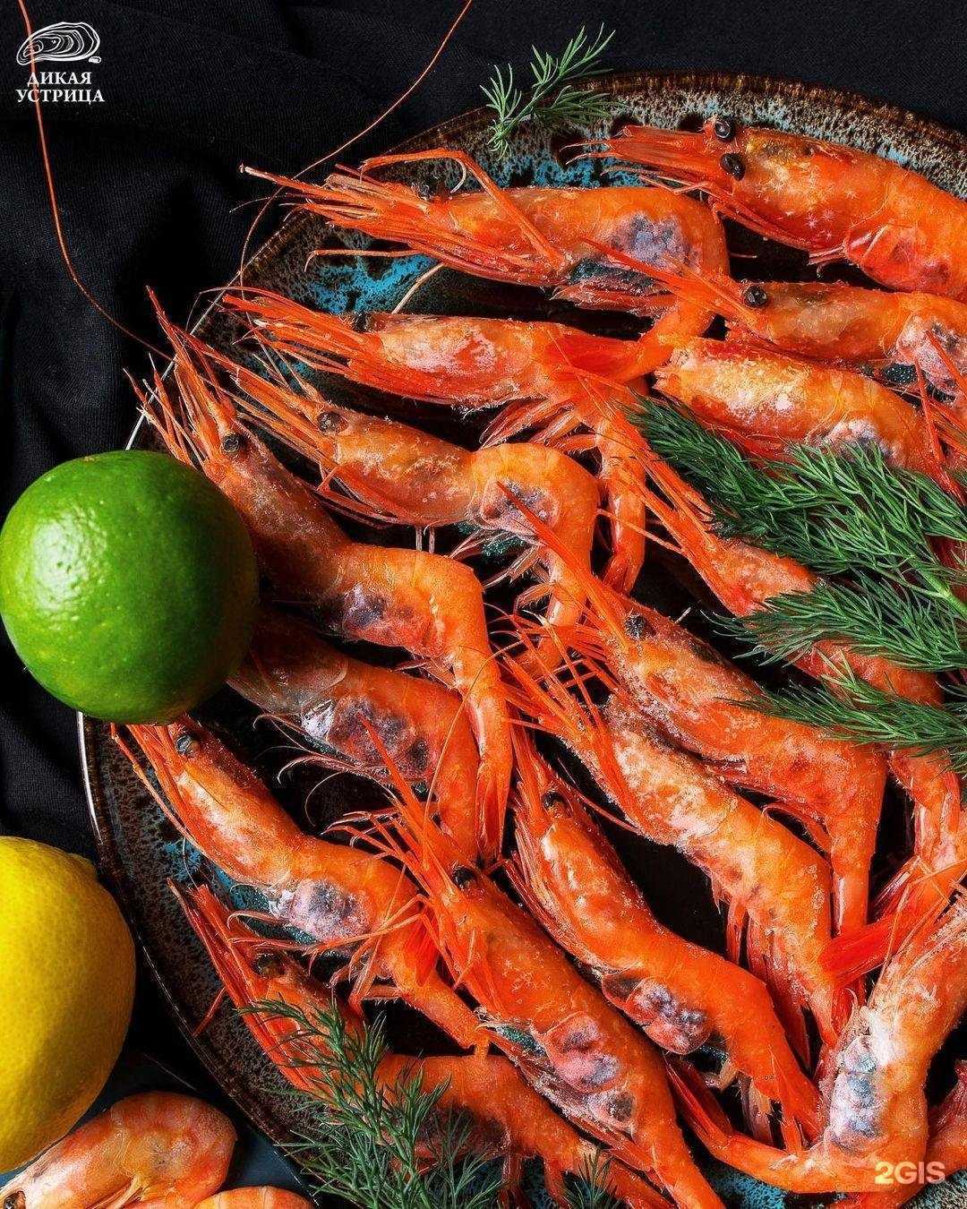 Отзывы на компанию Дикая устрица в Таганроге c фото