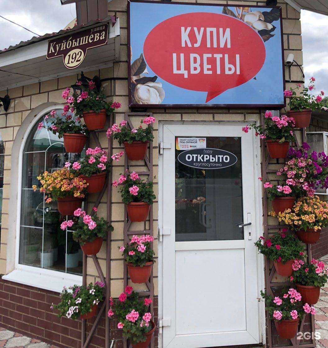 Отзывы на компанию Symphony в г. Димитровград c фото