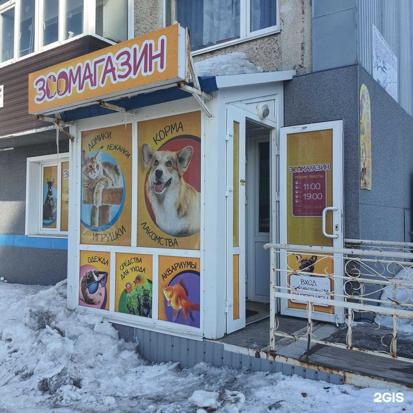 Отзывы на компанию Зоомагазин №1 в г. Петропавловск-Камчатский c фото