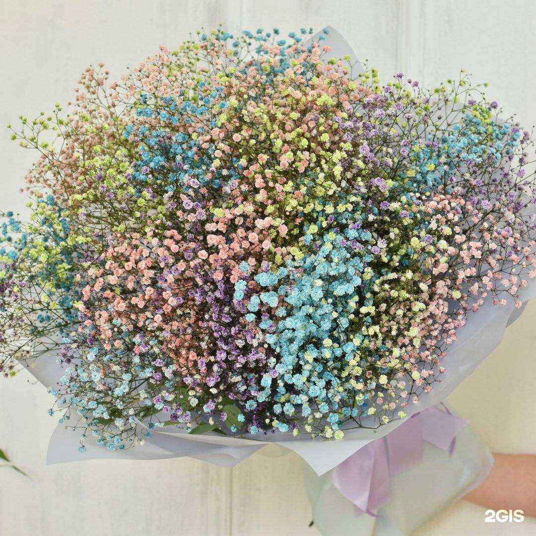 Отзывы на компанию Жасмина в Томске c фото