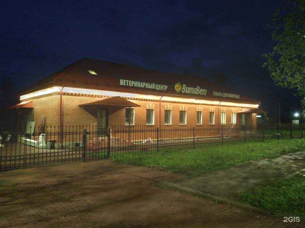 Отзывы на компанию ВитаВет в Гатчине c фото