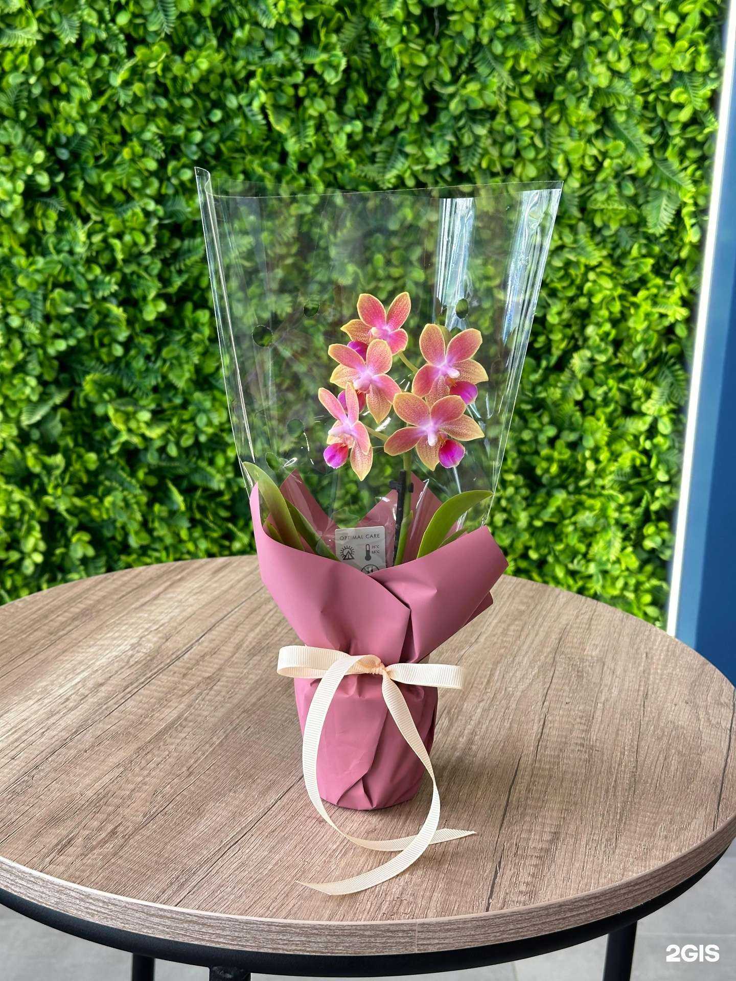 Отзывы на компанию Pro букет в Краснодаре c фото