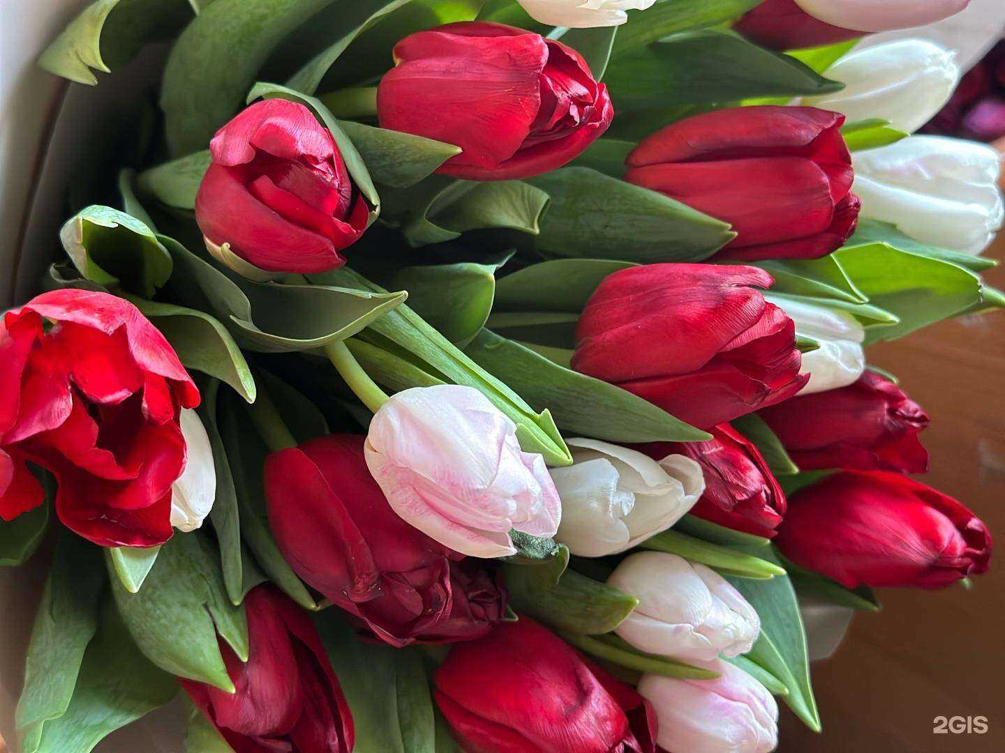 Отзывы на компанию Клевер в г. Чита c фото