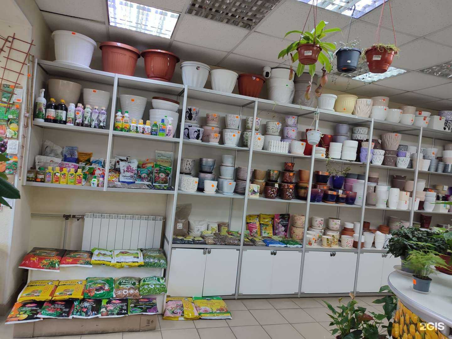 Отзывы на компанию Polar flowers в Мурманске c фото