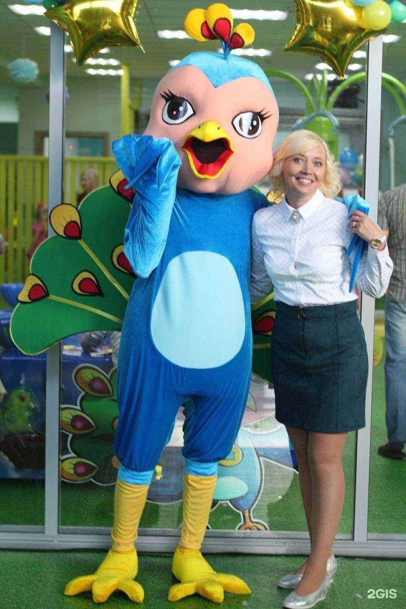 Отзывы на компанию Павлин в Вологде c фото