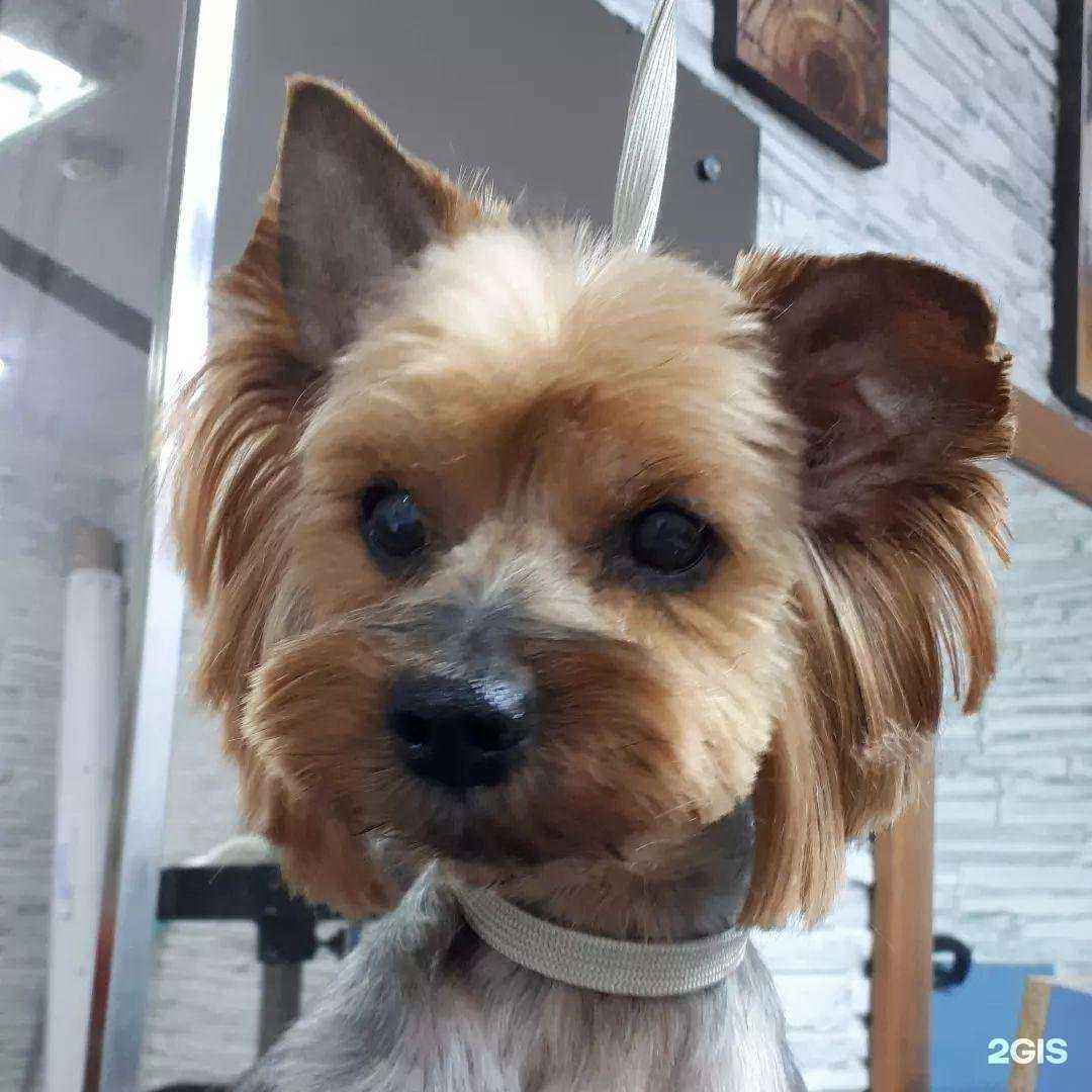 Отзывы на компанию Диана в г. Калининград c фото