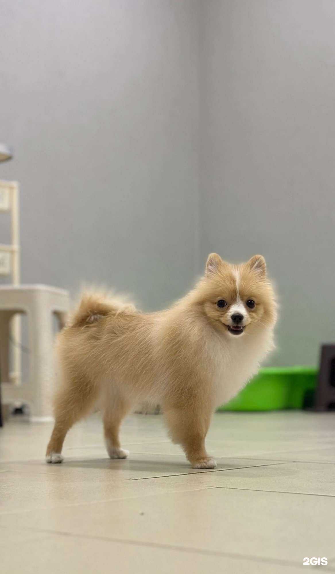 Отзывы на компанию Джесс в Сыктывкаре c фото