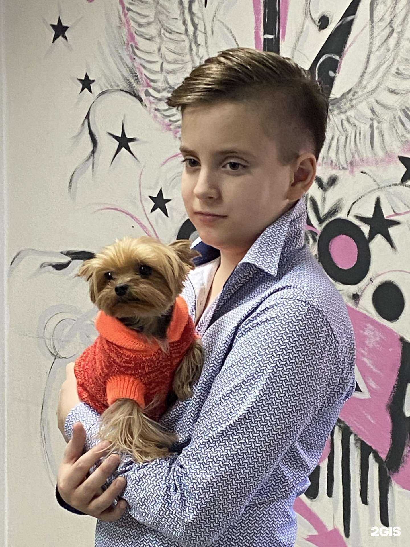 Отзывы на компанию Авантюра в Ростове-на-Дону c фото