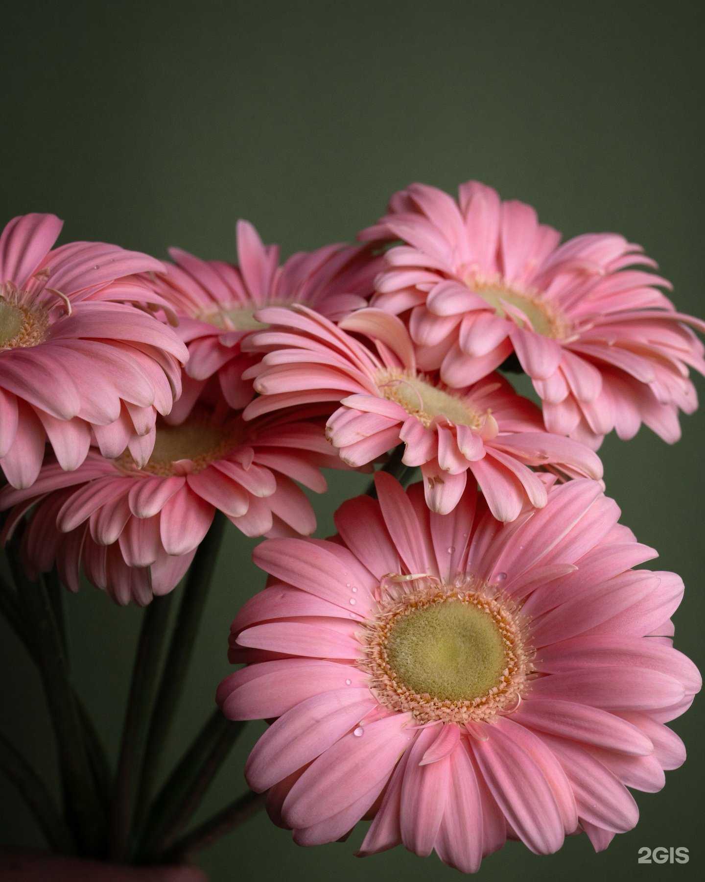 Отзывы на компанию Букетный в Южно-Сахалинске c фото