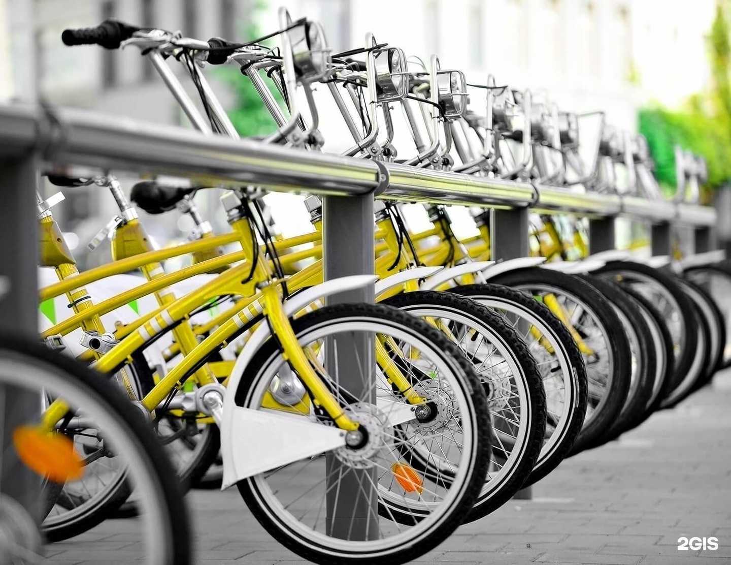 Отзывы на компанию Веломан в Обнинске c фото