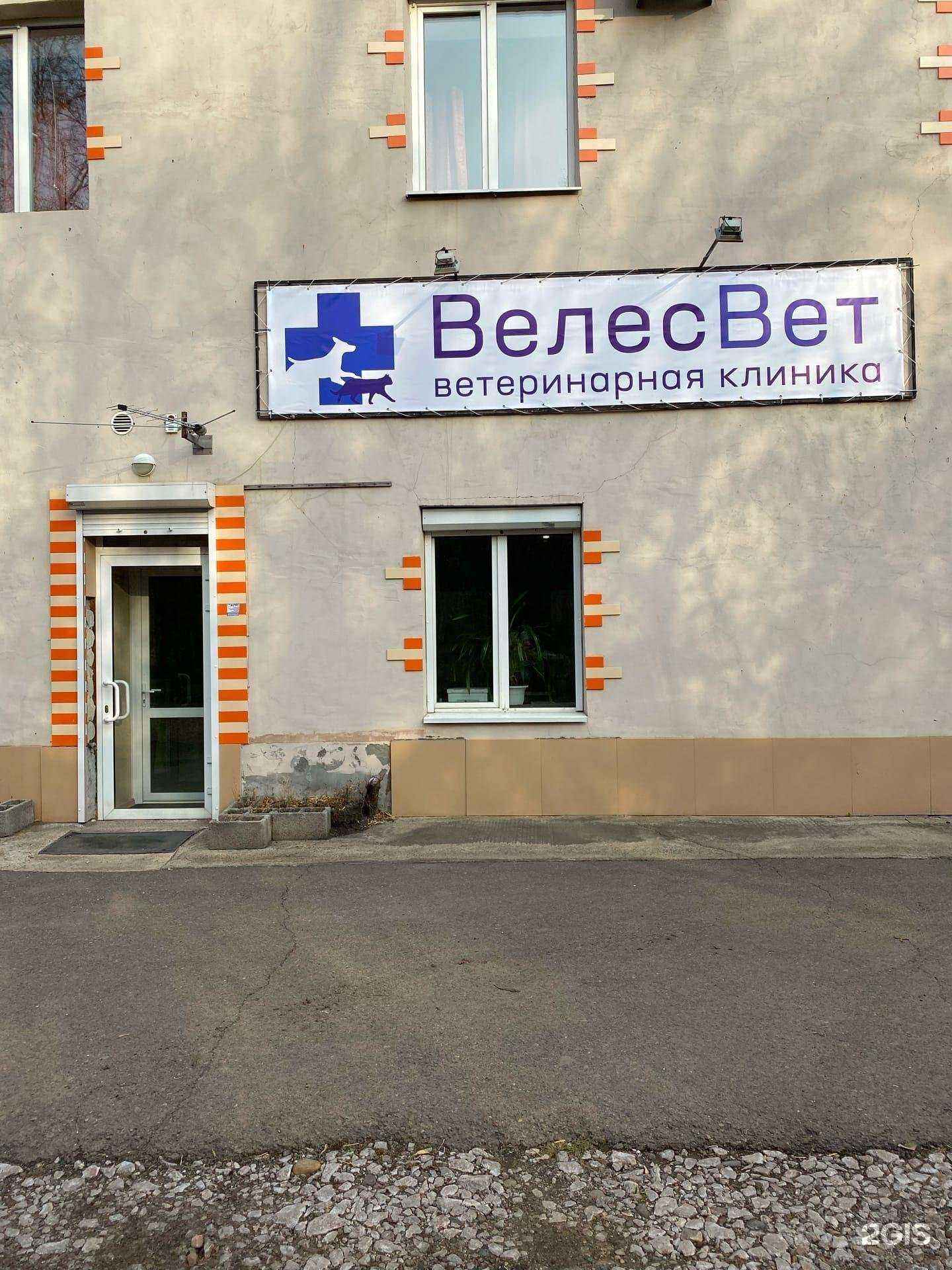 Отзывы на компанию ВелесВет в Красноярске c фото