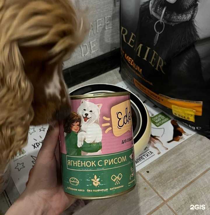 Отзывы на компанию Дружок в г. Чита c фото