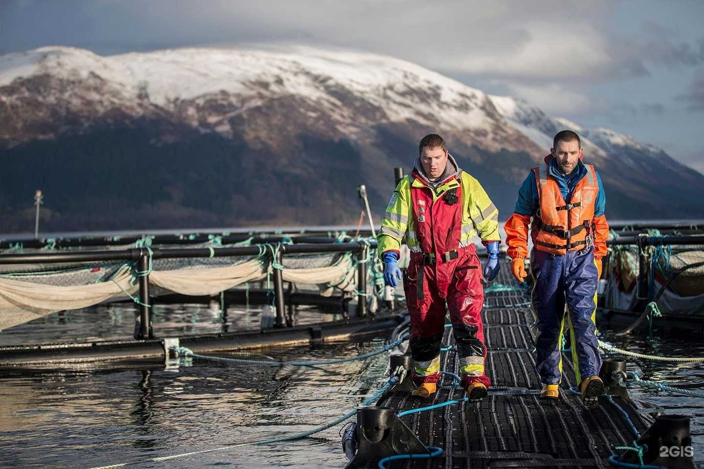 Отзывы на компанию Ресурс Технолоджи в г. Ижевск c фото