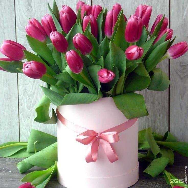 Отзывы на компанию Двери+ в г. Великие Луки c фото