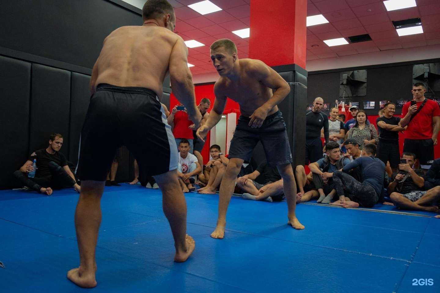 Отзывы на компанию ПОДДУБНЫЙ в Красноярске c фото