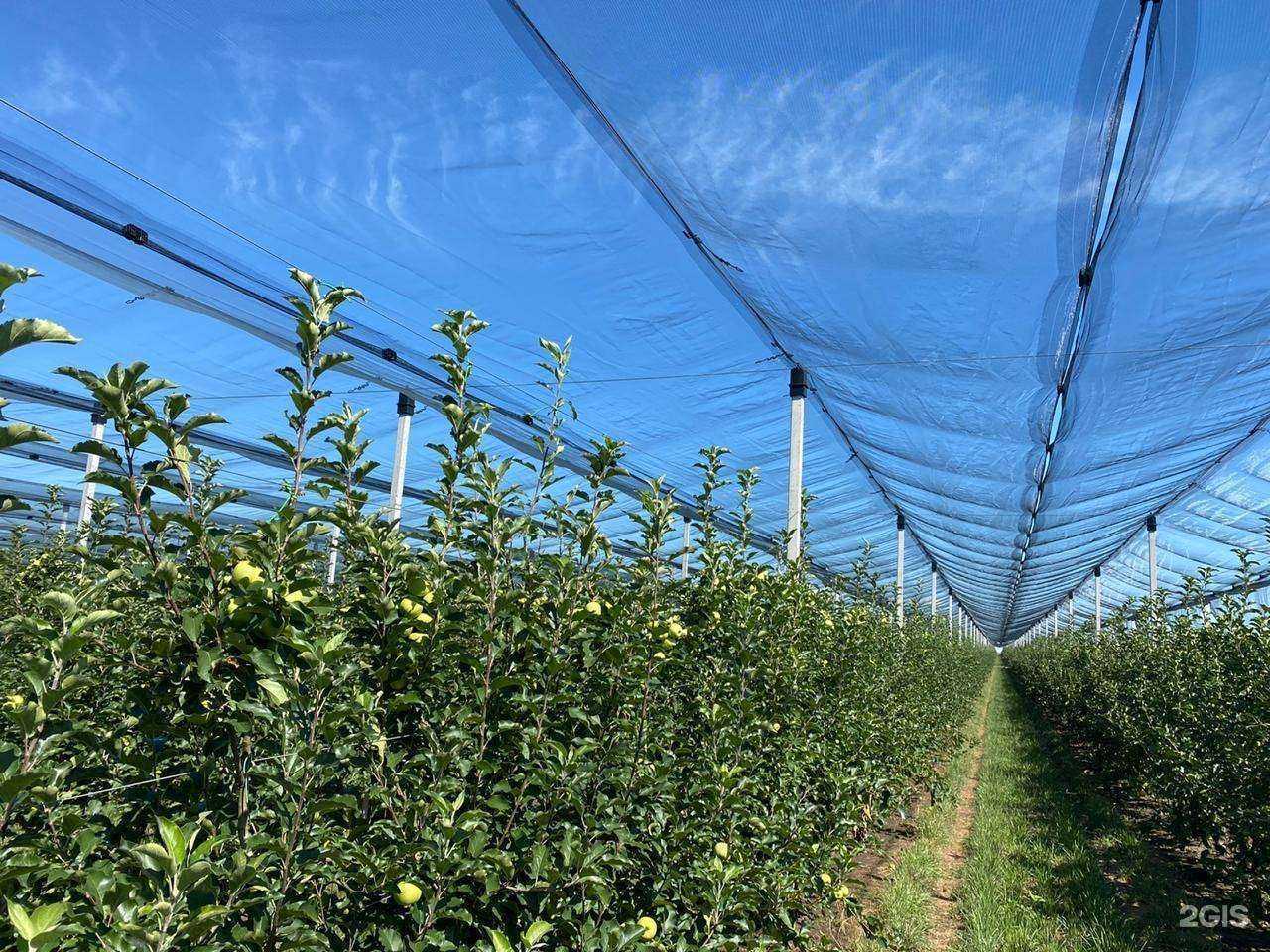 Отзывы на компанию Агротехимпорт в Краснодаре c фото