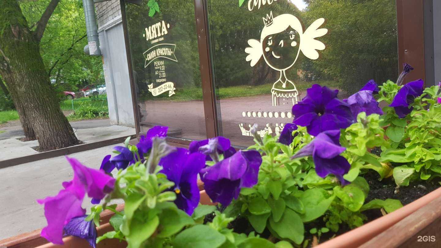 Отзывы на компанию Мята в Перми c фото