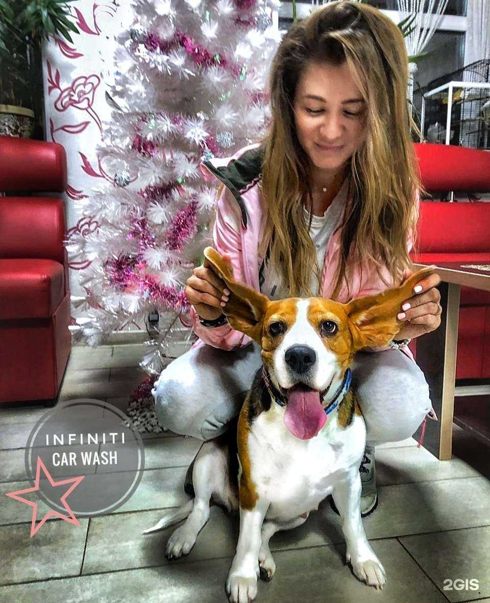 Отзывы на компанию Infiniti в г. Иваново c фото