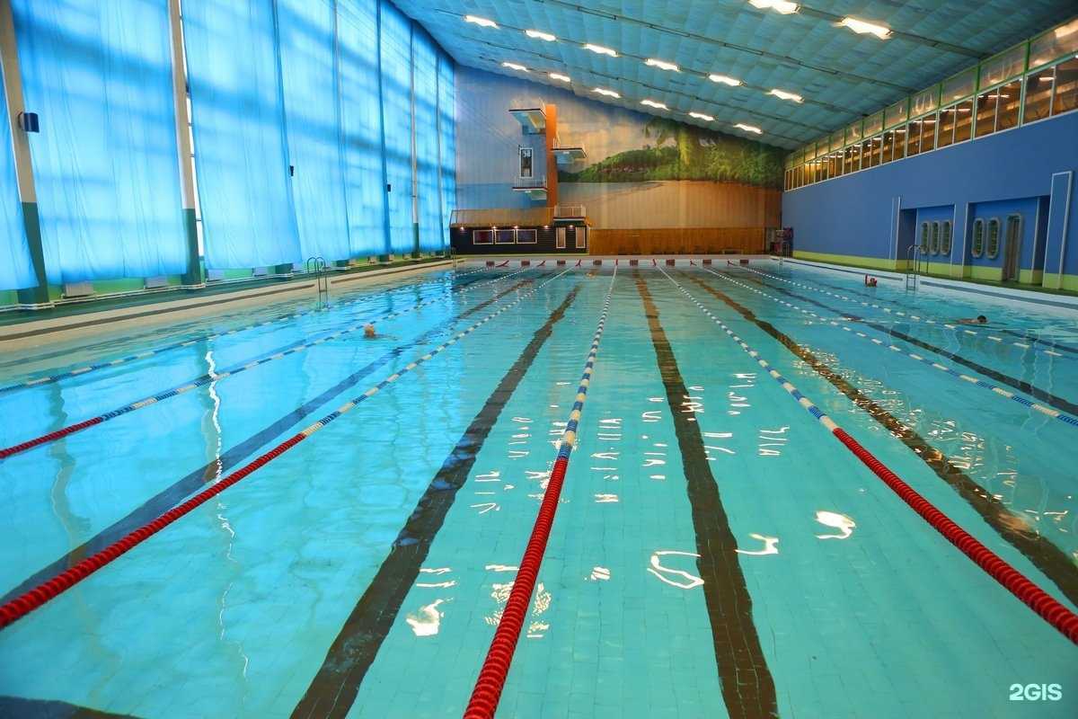 Отзывы на компанию Энигма Сура в г. Пенза c фото