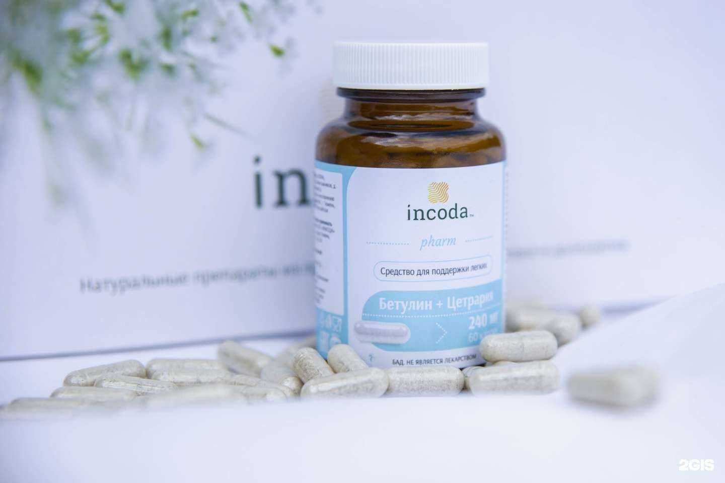 Отзывы на компанию Incoda в Тюмени c фото