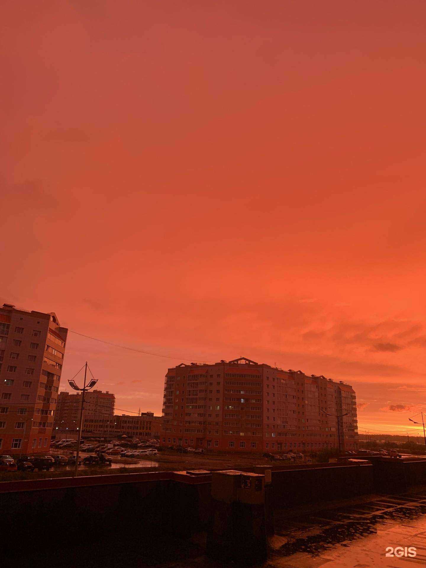 Отзывы на компанию Незабудки в Новом Уренгое c фото - фотография 2 из 2