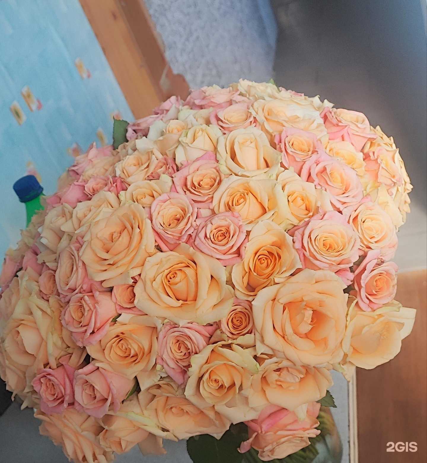 Отзывы на компанию Рускус в Владимире c фото