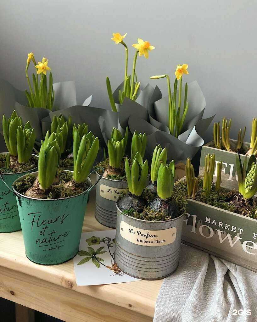 Отзывы на компанию Цветаева в Королёве c фото