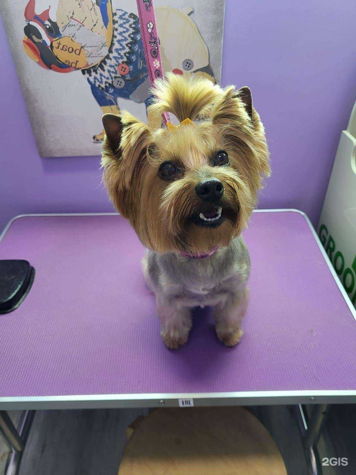 Отзывы на компанию Прилл в Сочи c фото