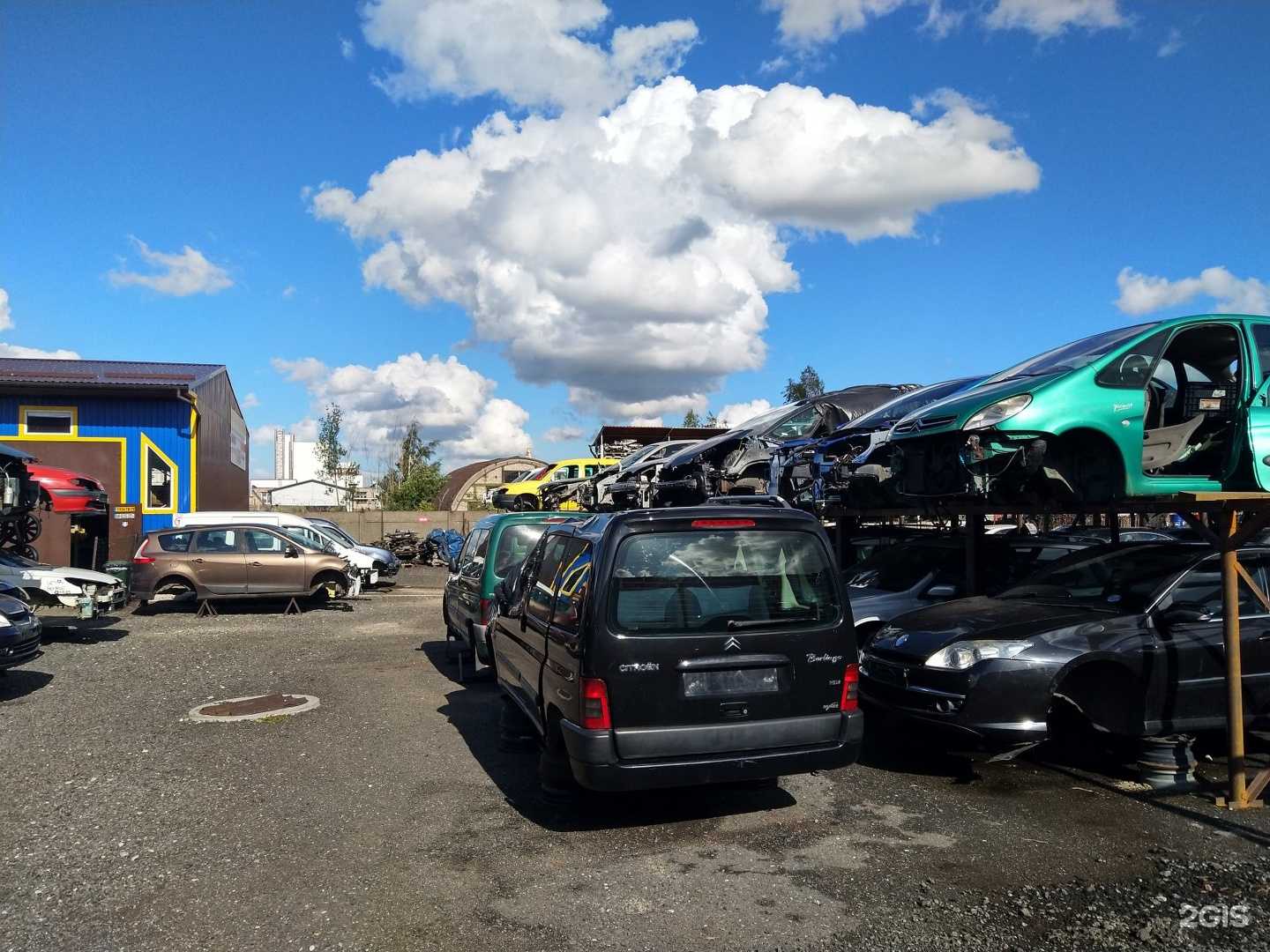 Отзывы на компанию ФрансЛайн в Калининграде c фото